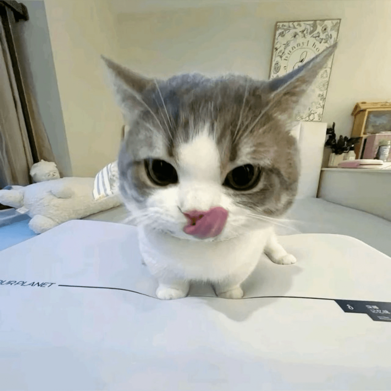 Ugh_HH/69766/6104729063156026158