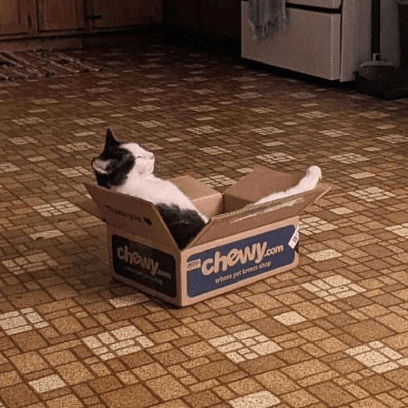 Ugh_HH/69885/6107297973290077787