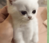 Ugh_HH/70144/6116313088169545013