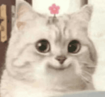 Ugh_HH/70187/6118564887983229760