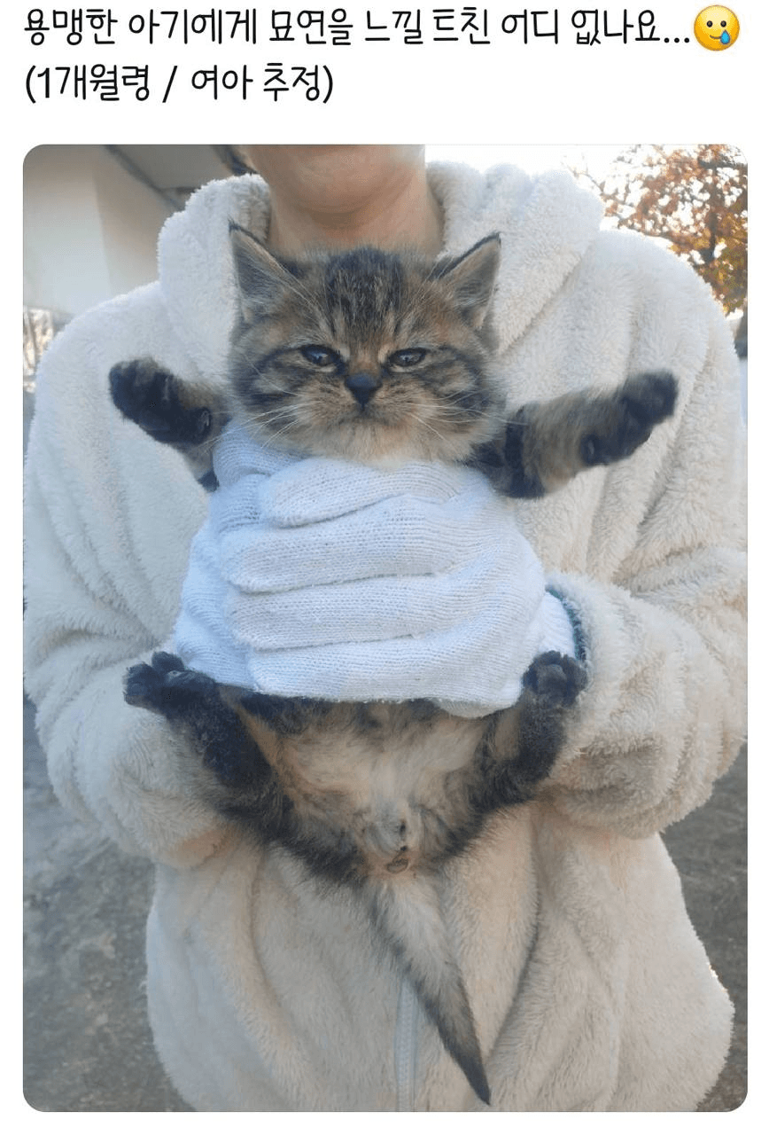 Ugh_HH/70339/6125285008562916187