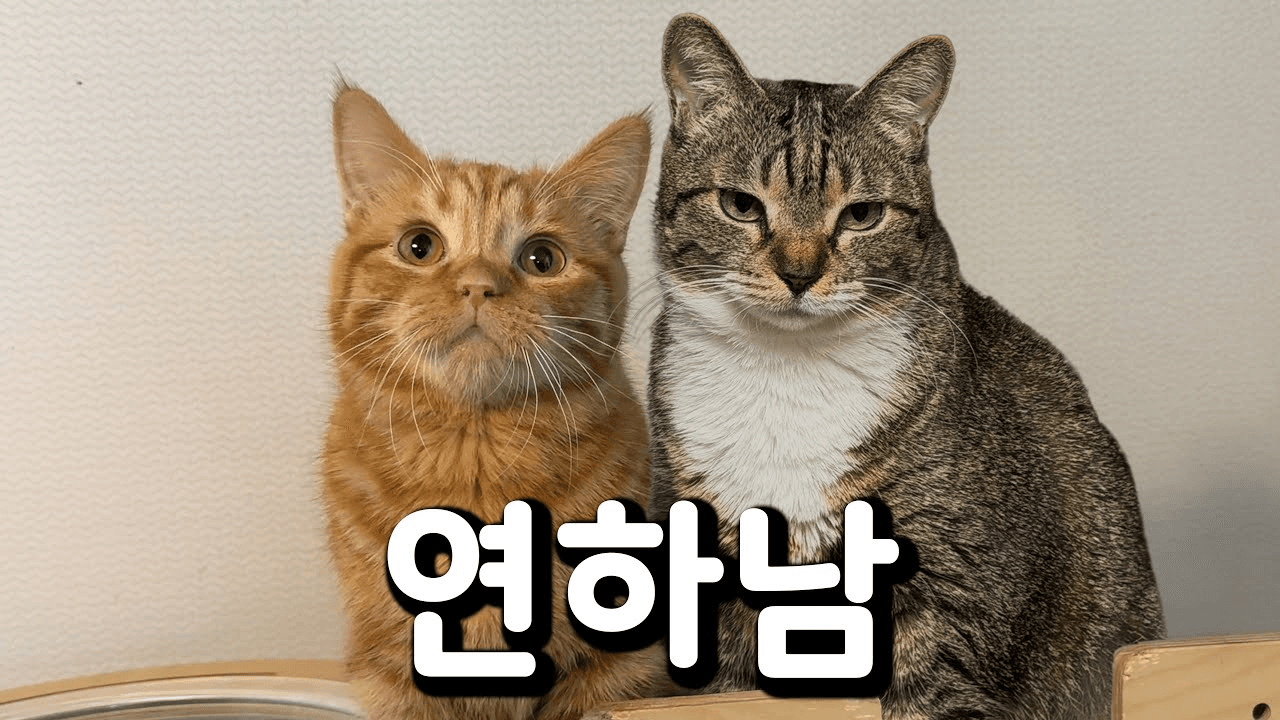 Ugh_HH/70553/5840373628518730847