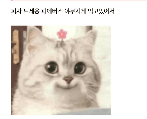 Ugh_HH/70703/6136594761259879382