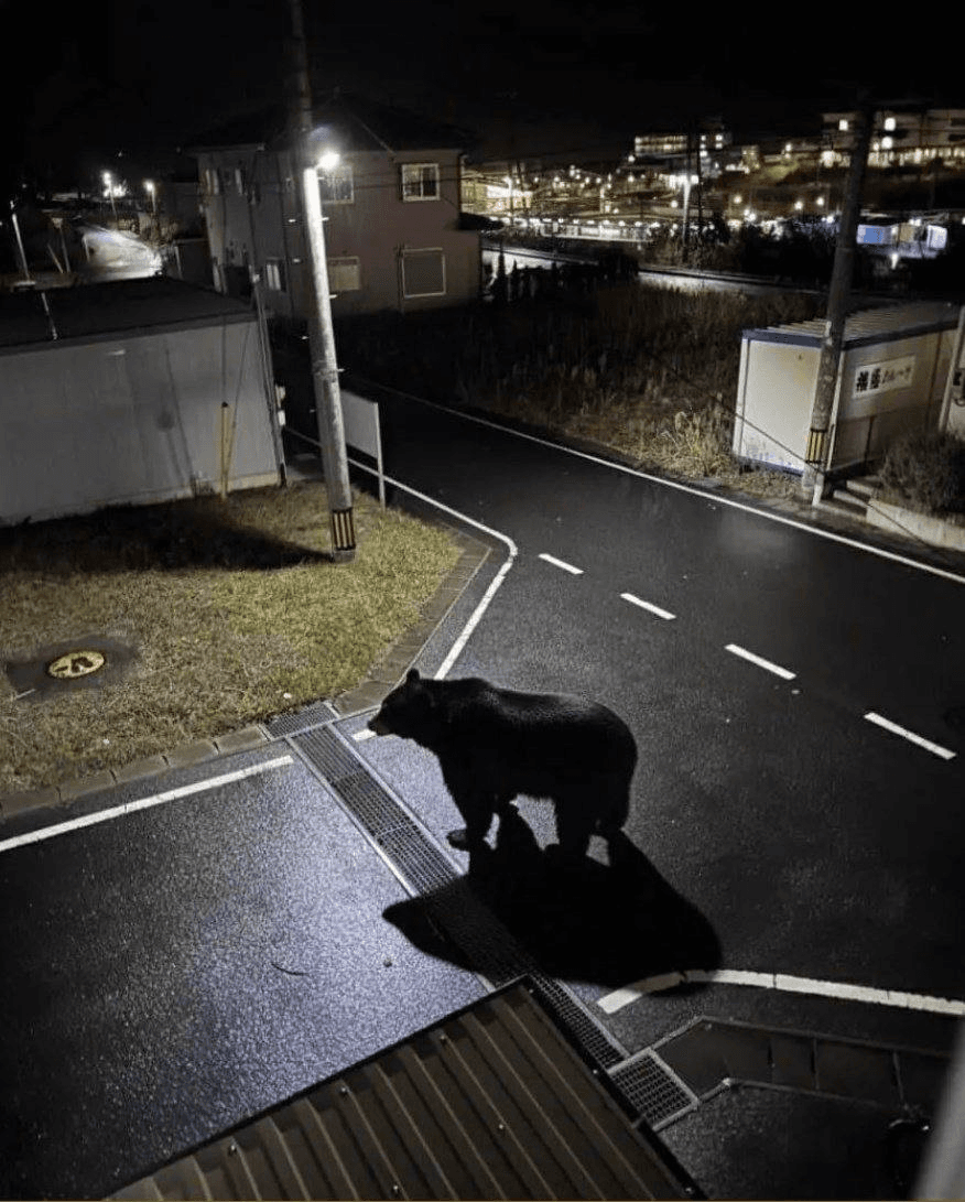 Ugh_HH/70805/6140956369268444107