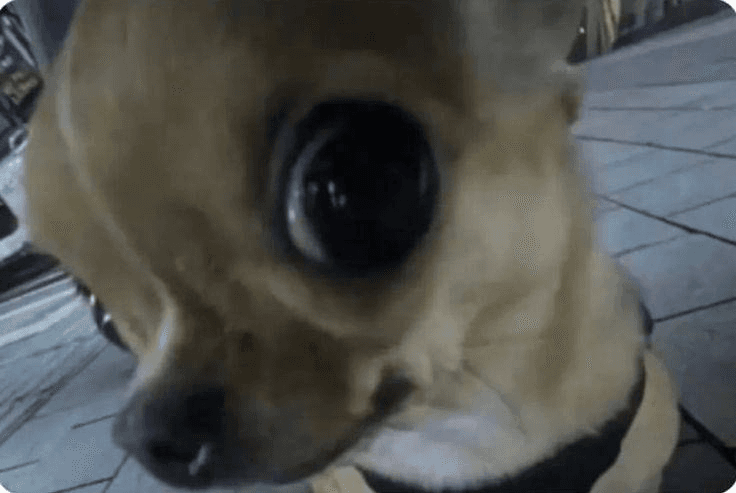 Ugh_HH/70925/6143265390931414167