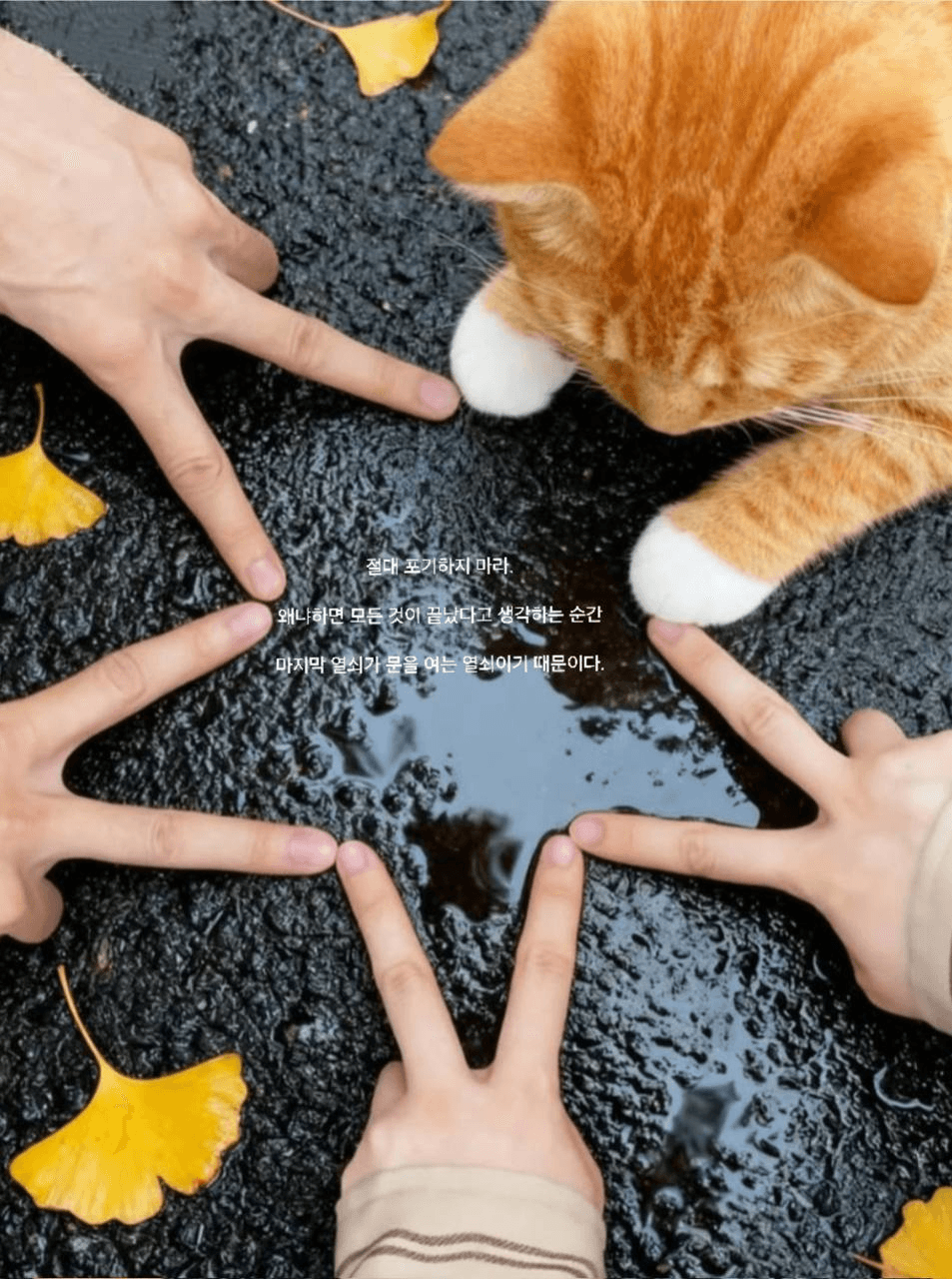 Ugh_HH/70966/6145517190745099258