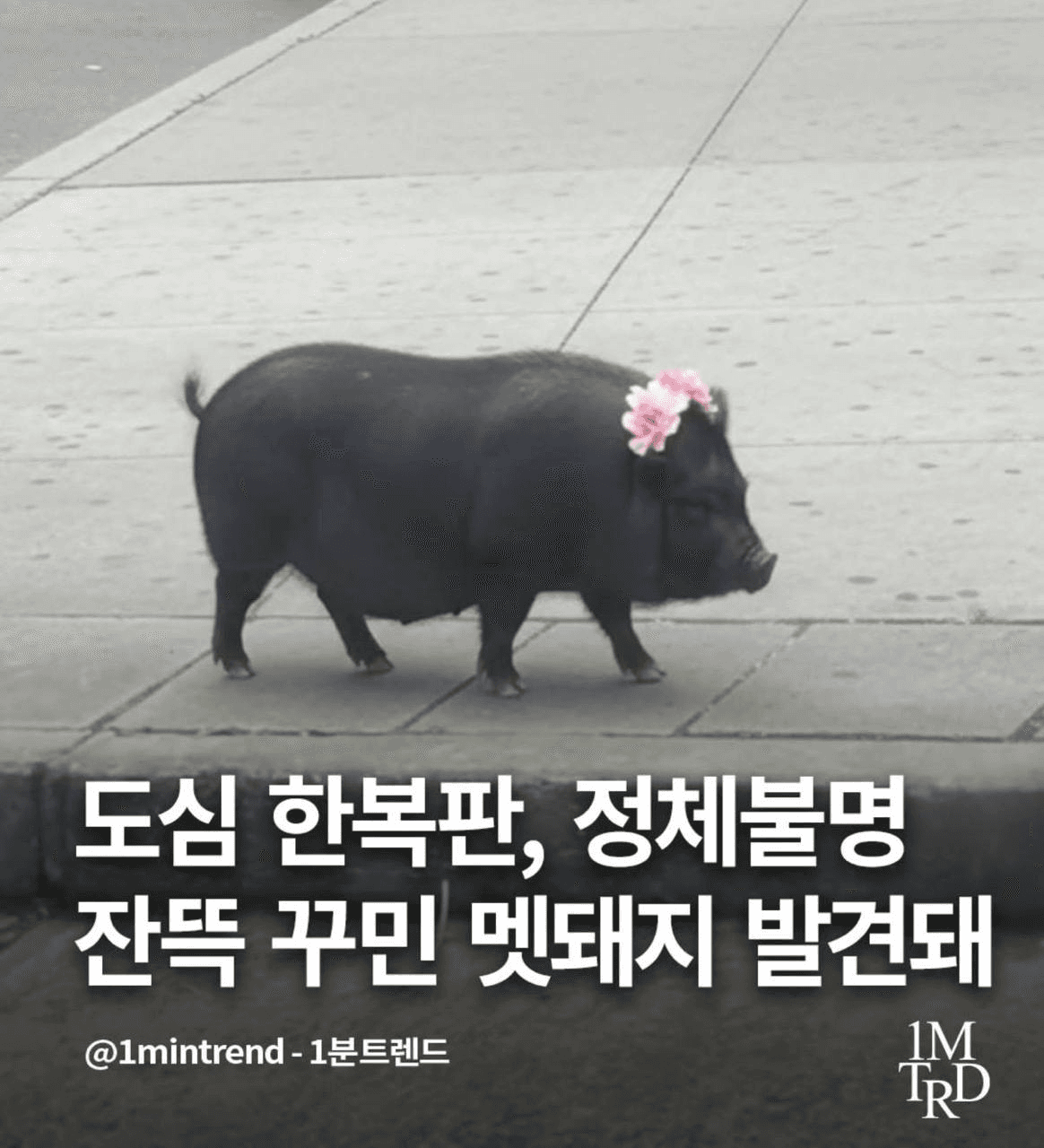 Ugh_HH/71023/6147847128898800507