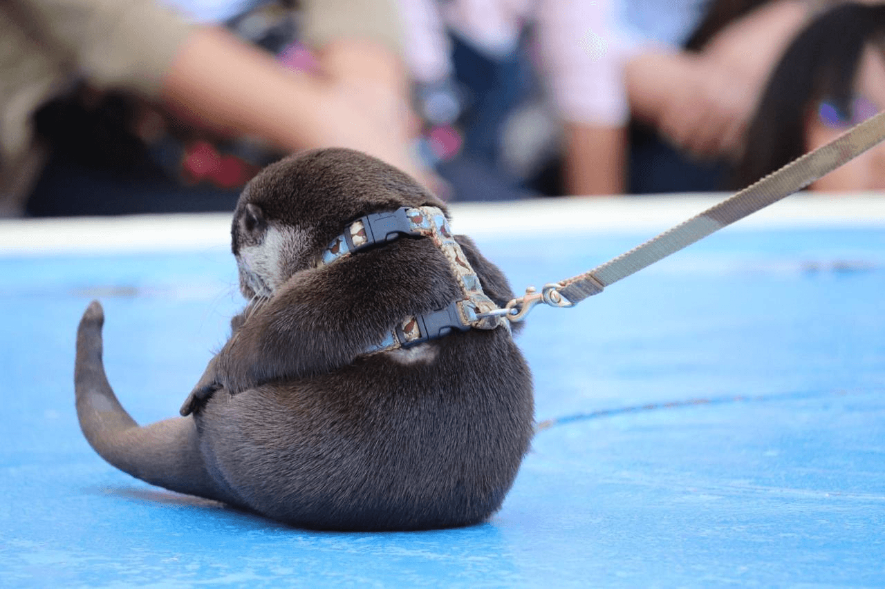 Ugh_HH/71491/6163276592751250698