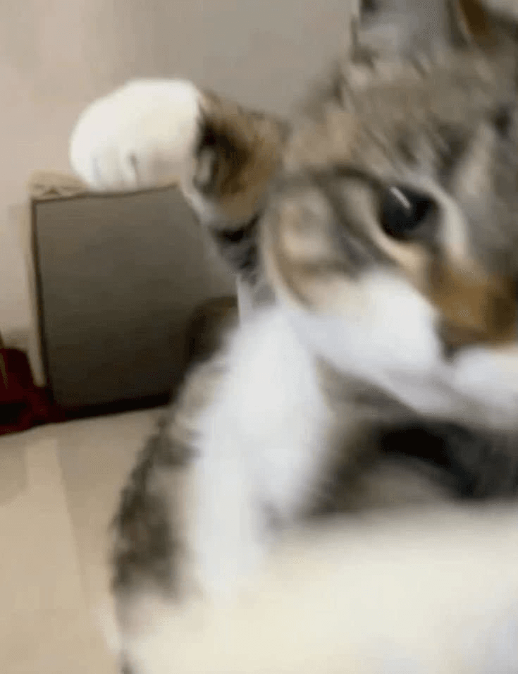 Ugh_HH/71601/6167780192378620773