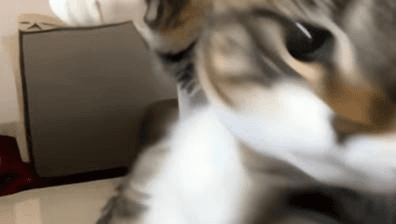 Ugh_HH/71722/6176868218622905367