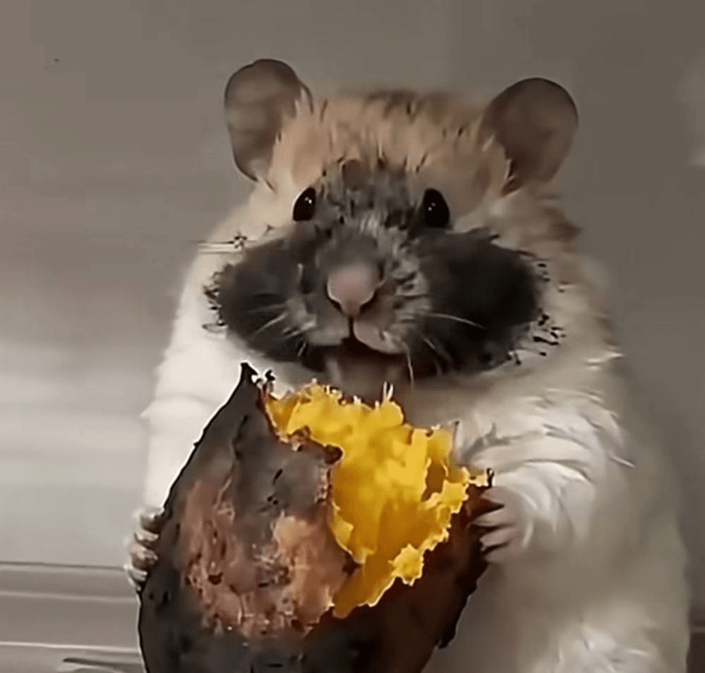 Ugh_HH/72379/6199283592811187243