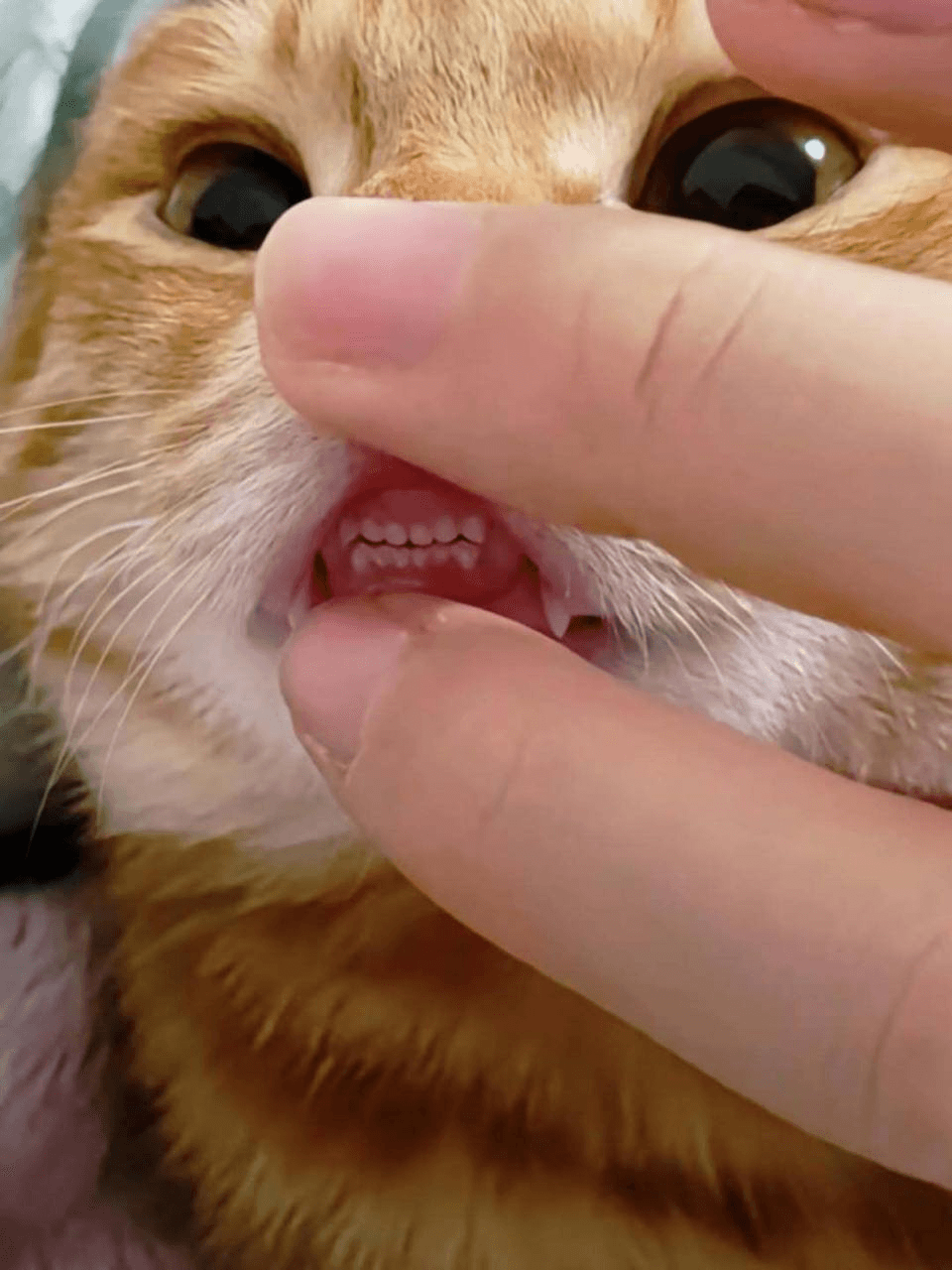 Ugh_HH/72662/6210678643558648687