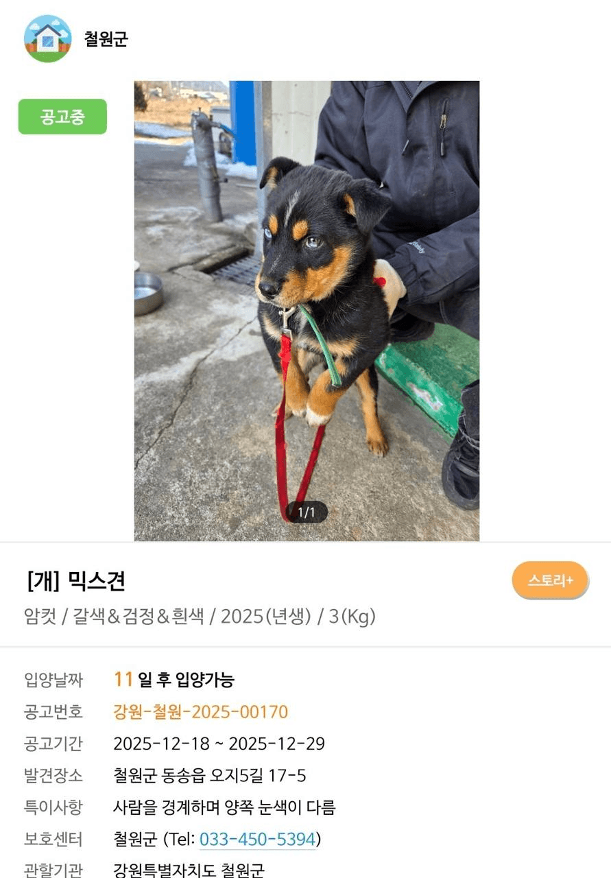 Ugh_HH/72830/6215091576426400981