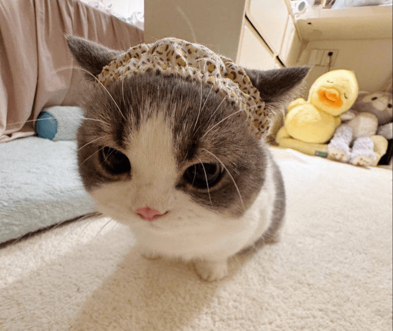 Ugh_HH/72972/6222149023737515020