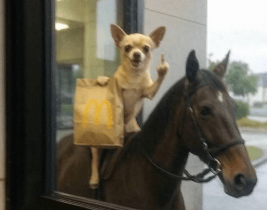 Ugh_HH/73438/6240100488091208725