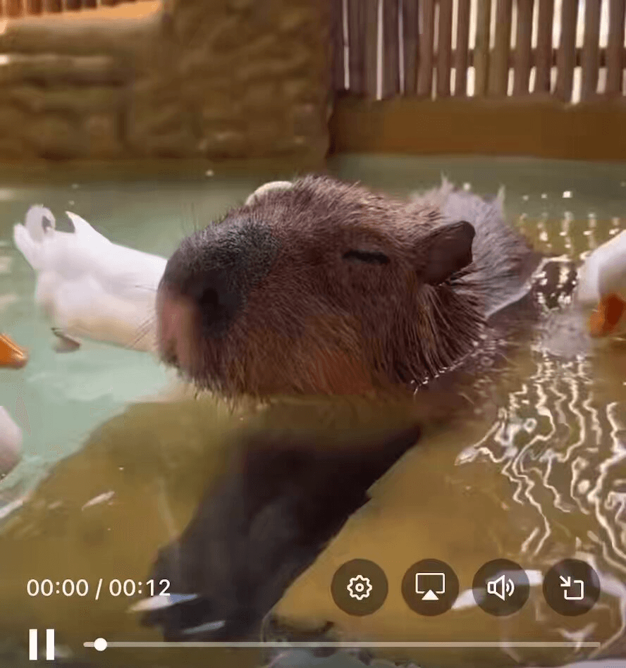 Ugh_HH/74013/5986964912485370729