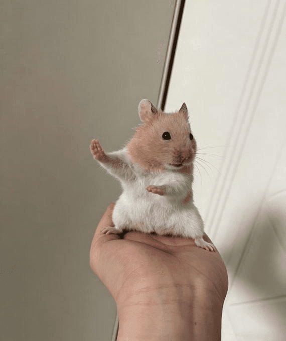 Ugh_HH/74343/6298585972588875028