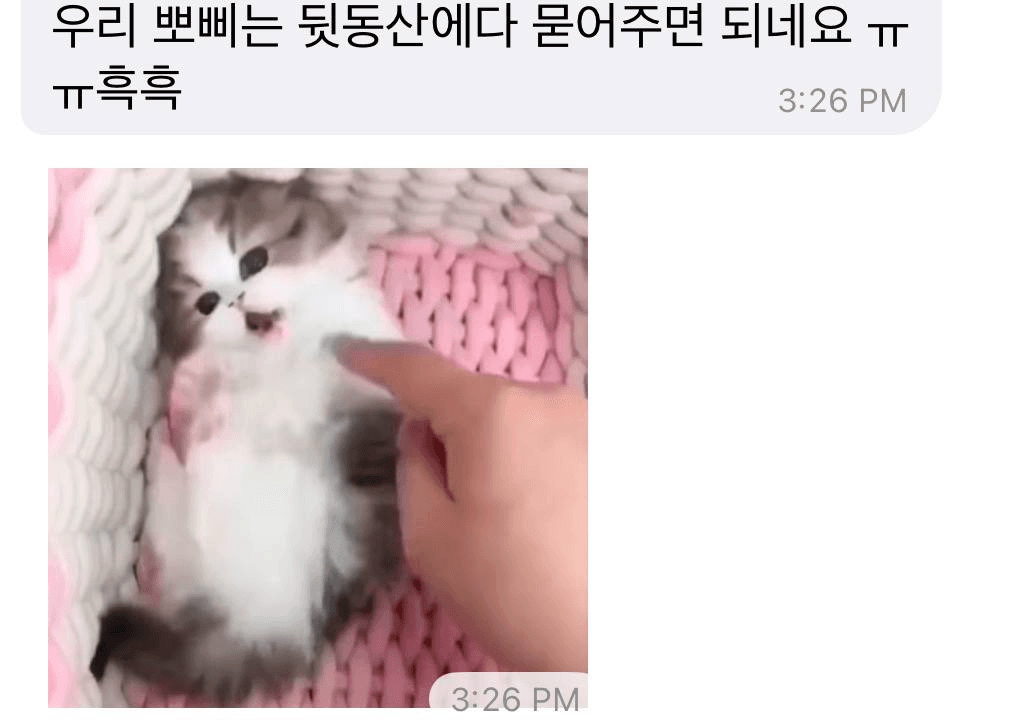 Ugh_HH/74691/6314479864139943005