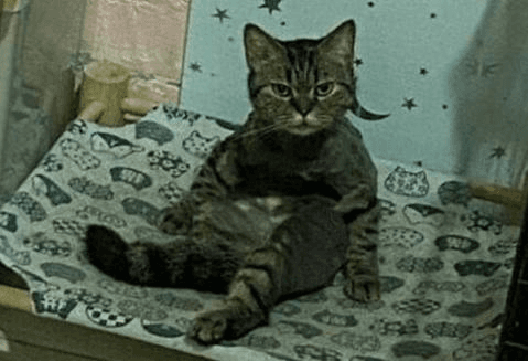 Ugh_HH/74708/6314479864139943221