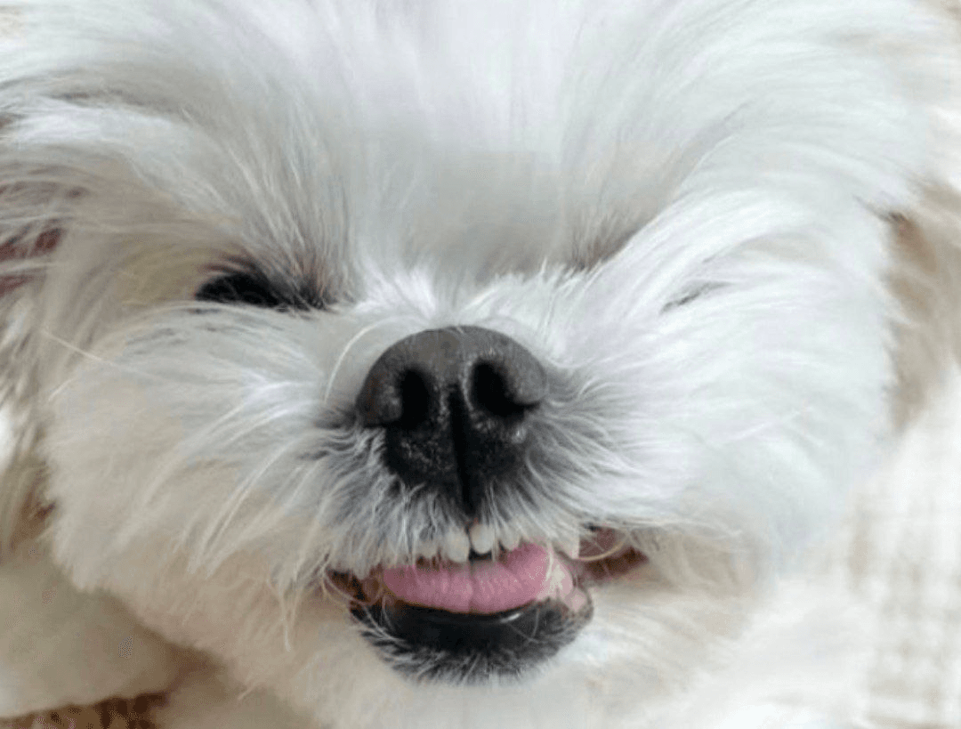 Ugh_HH/74887/6309873898262039837