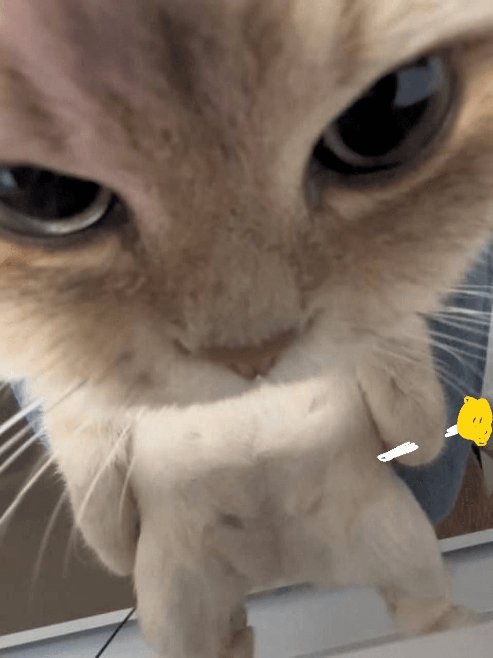 Ugh_HH/75218/6332209094000840569