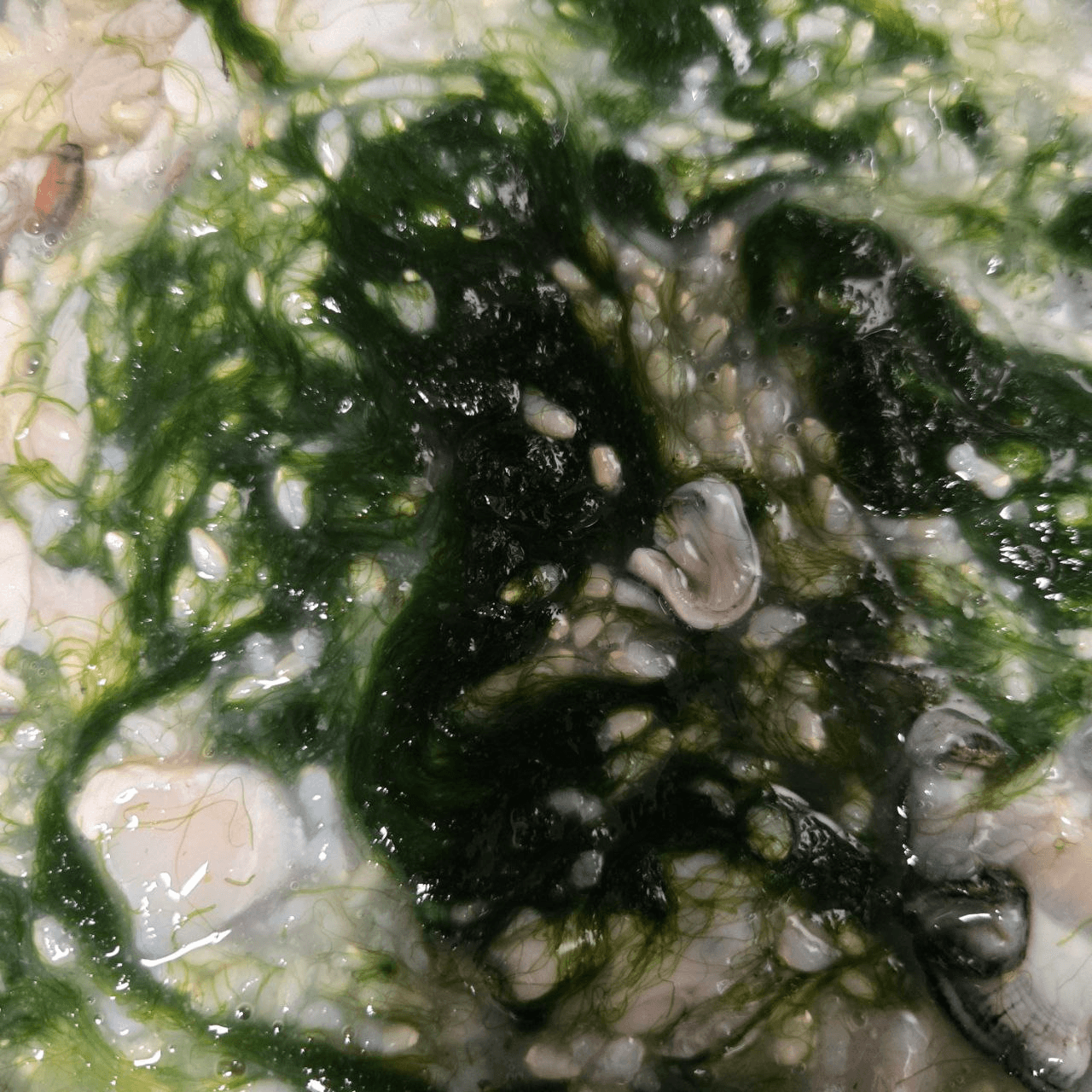 Ugh_HH/75495/6057676961988939249