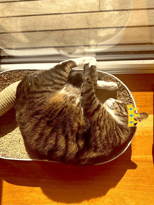 Ugh_HH/76062/6071244896820991447