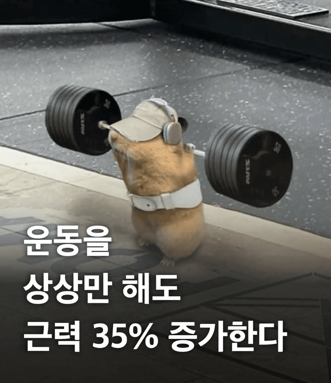 Ugh_HH/76273/6079947200642354731