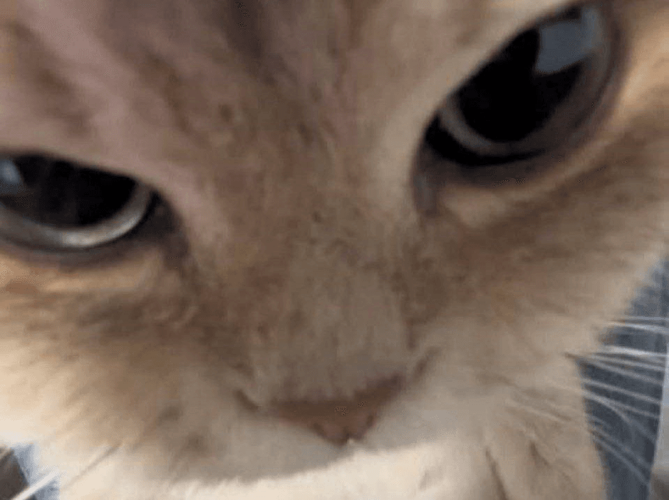 Ugh_HH/76887/6102615389490580797