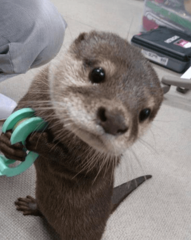 Ugh_HH/77516/6134357053233892658