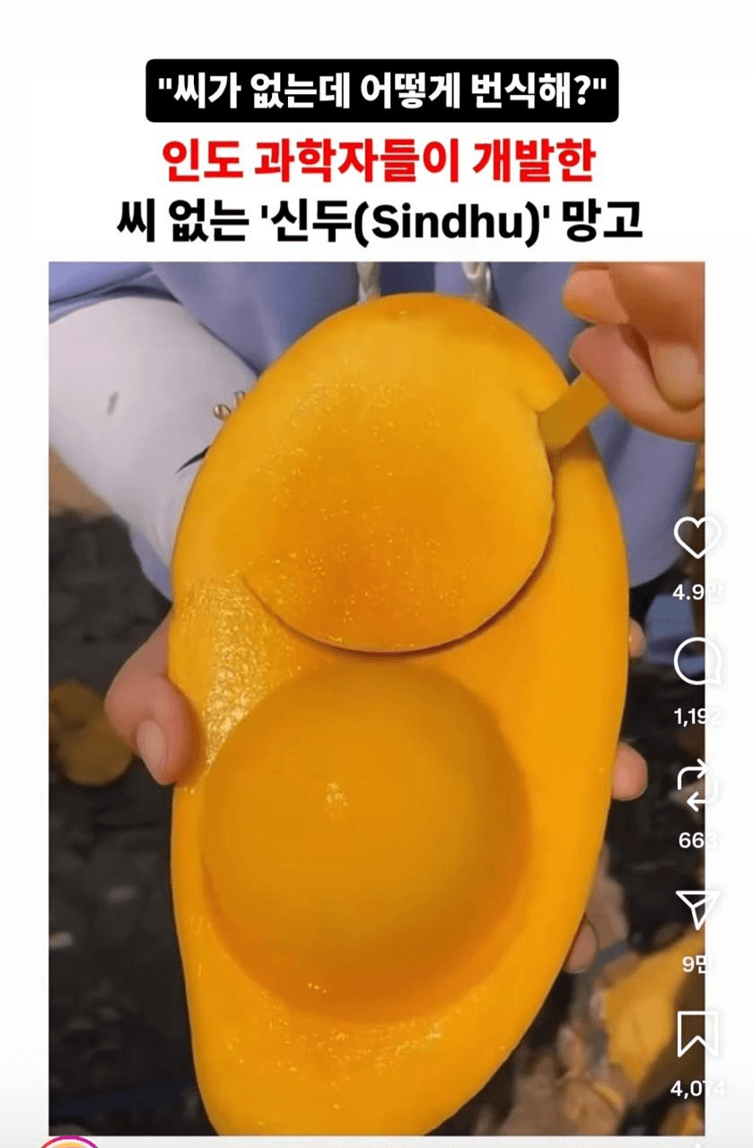 Ugh_HH/77537/6136608853047577828