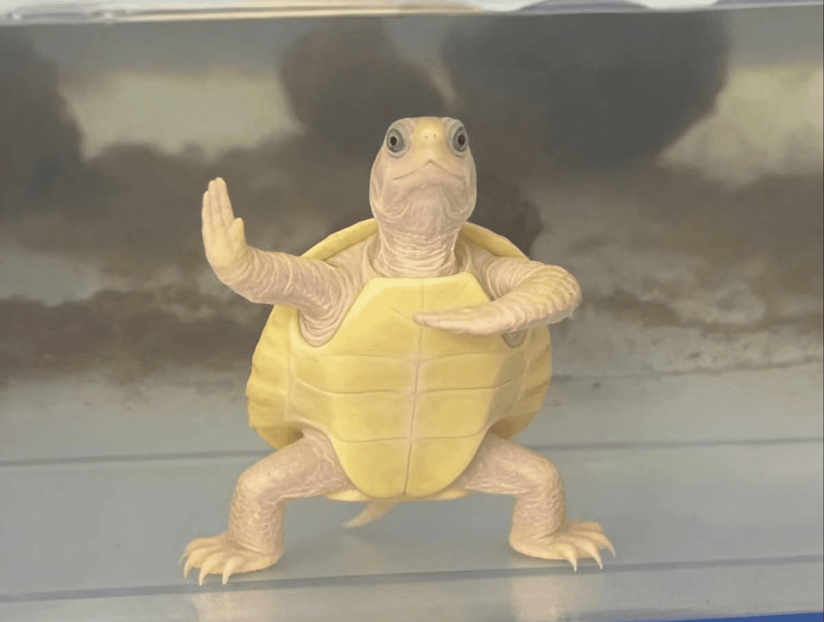 Ugh_HH/77582/6138860652861263382