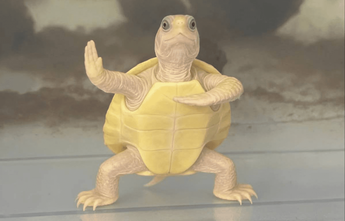 Ugh_HH/77717/6140874511486750213