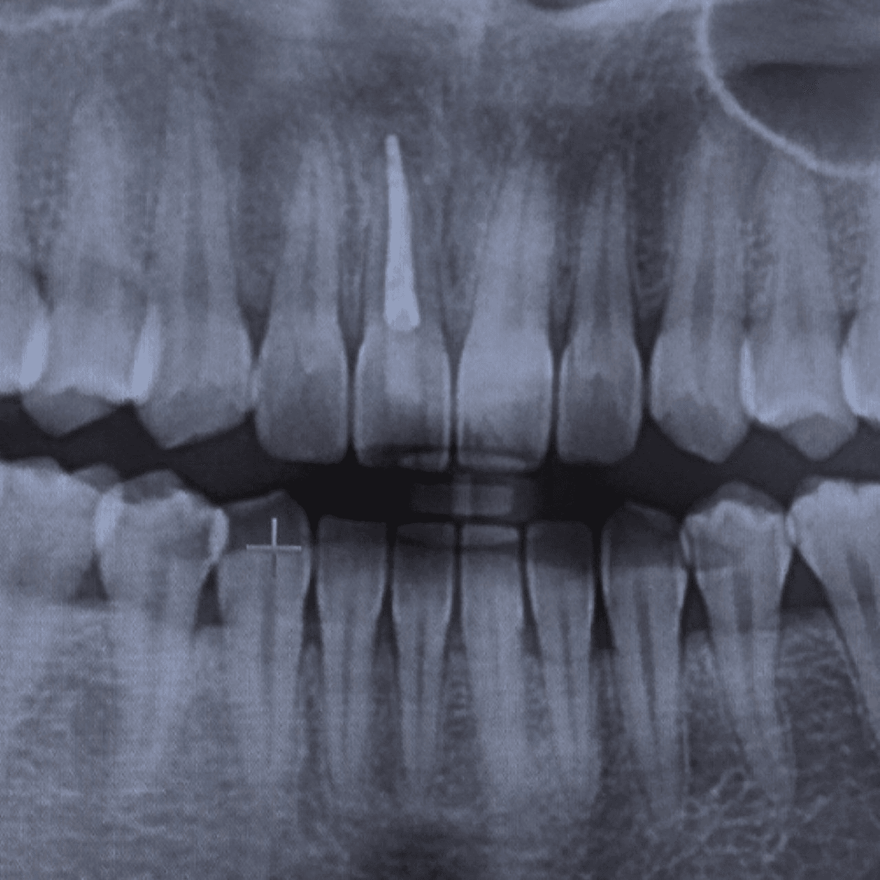 Ugh_HH/77729/6143126311300436759