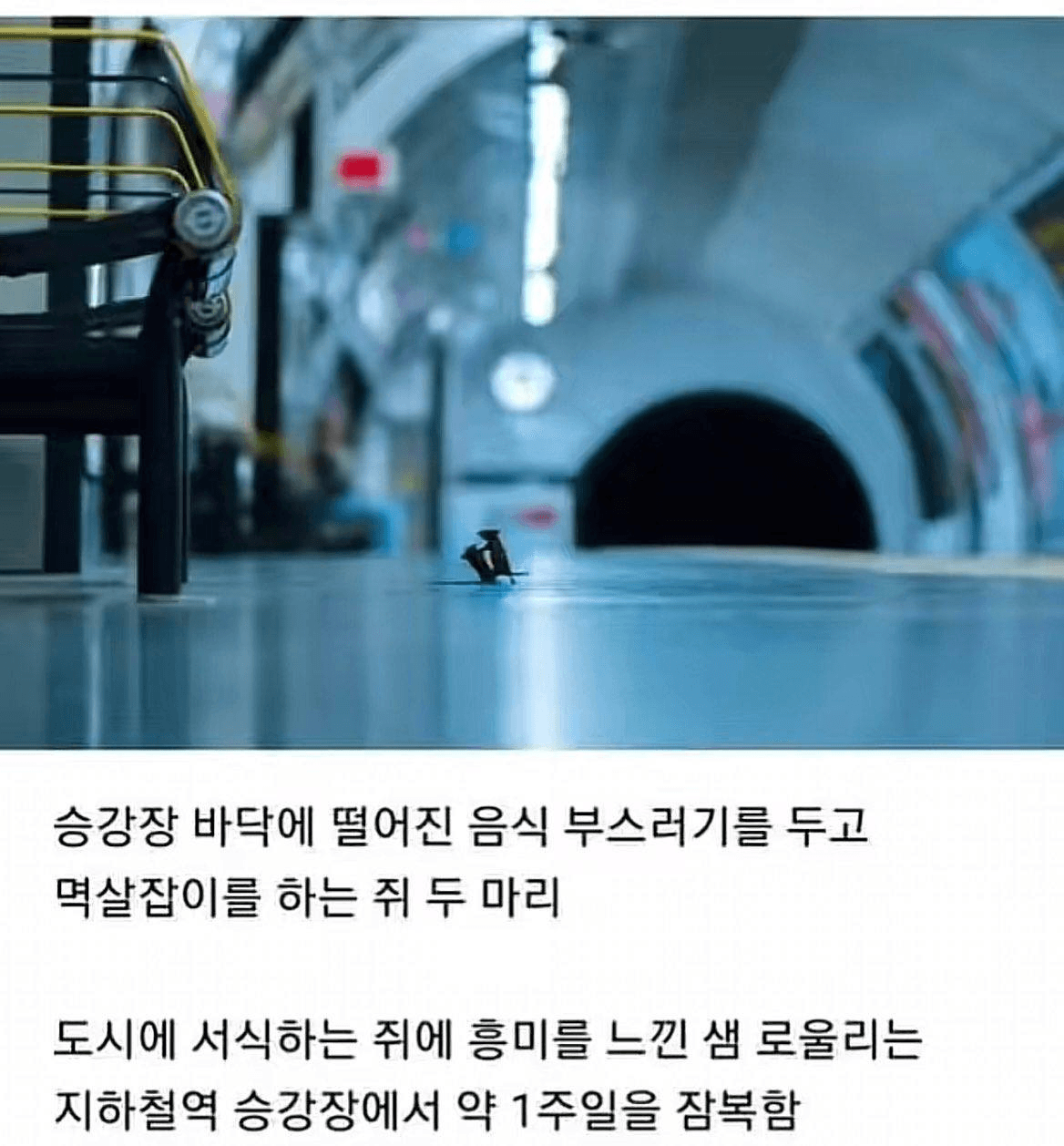 Ugh_HH/77878/6151929873270771227