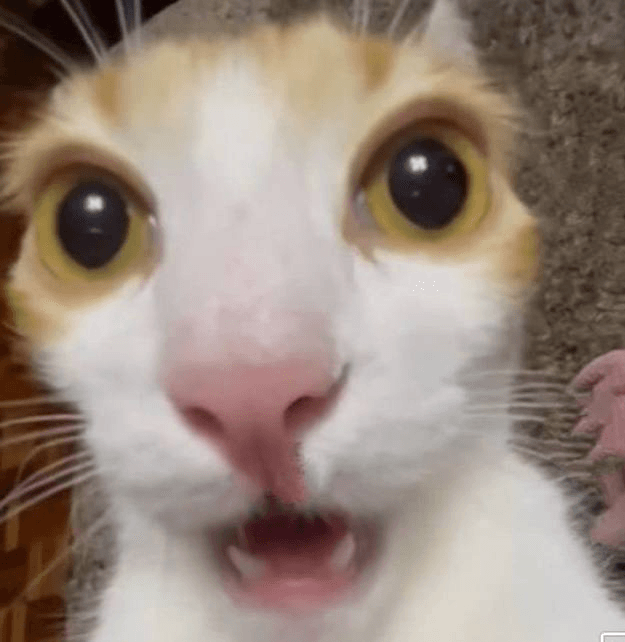 Ugh_HH/78422/6181574141274689569