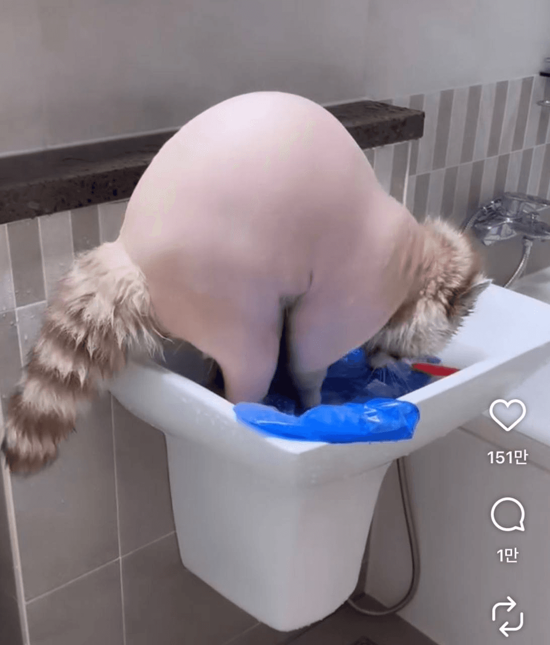 Ugh_HH/78715/6195255420293680434