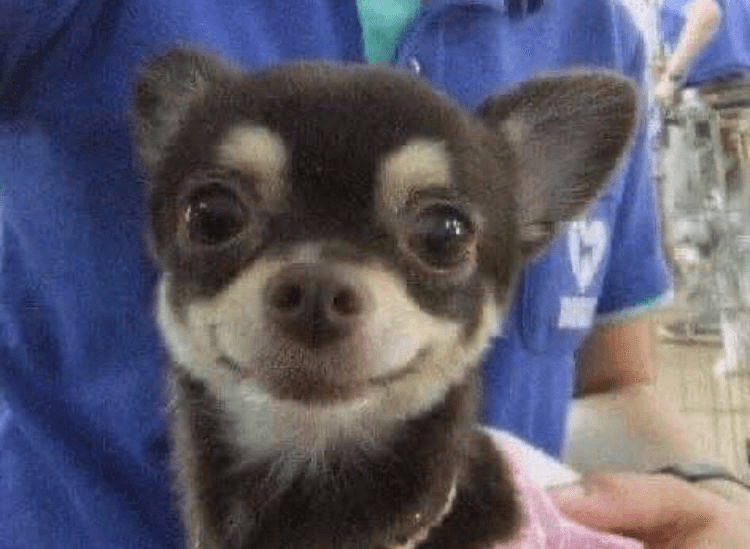 Ugh_HH/78729/6196993146881773154