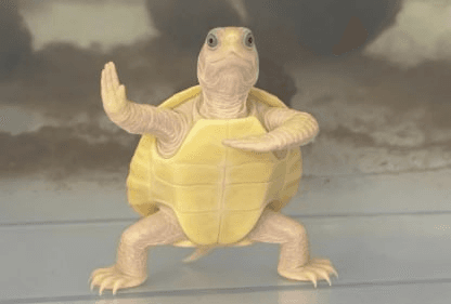 Ugh_HH/78970/6204202837898628926