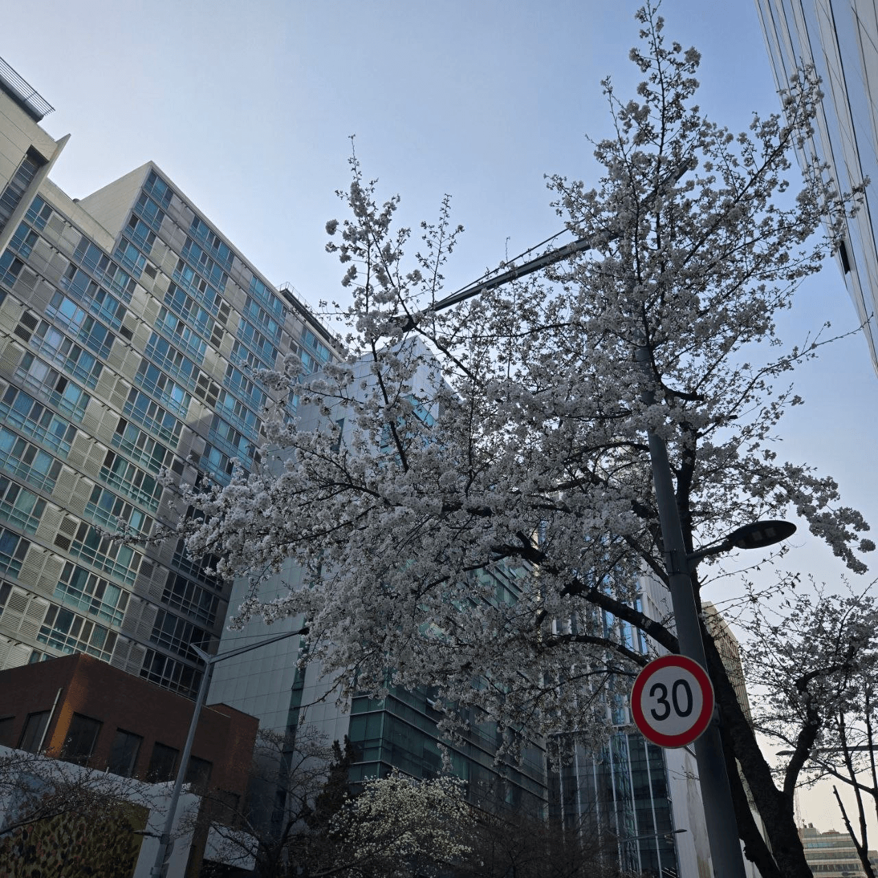 Ugh_HH/79083/6215451434556263874