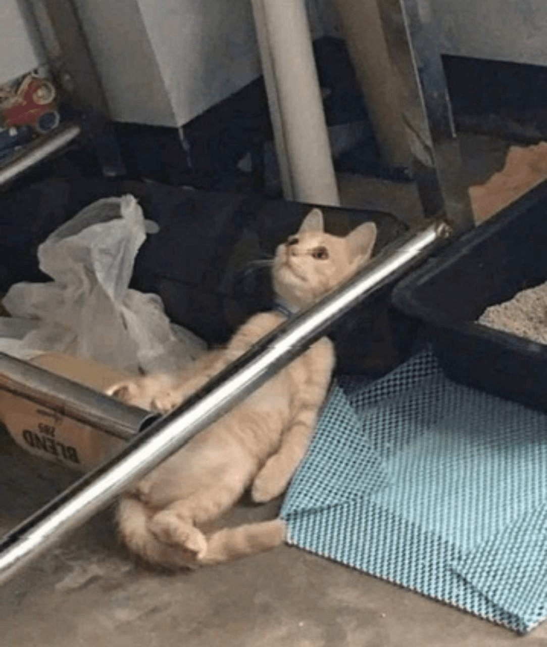 Ugh_HH/79119/6217703234369949524