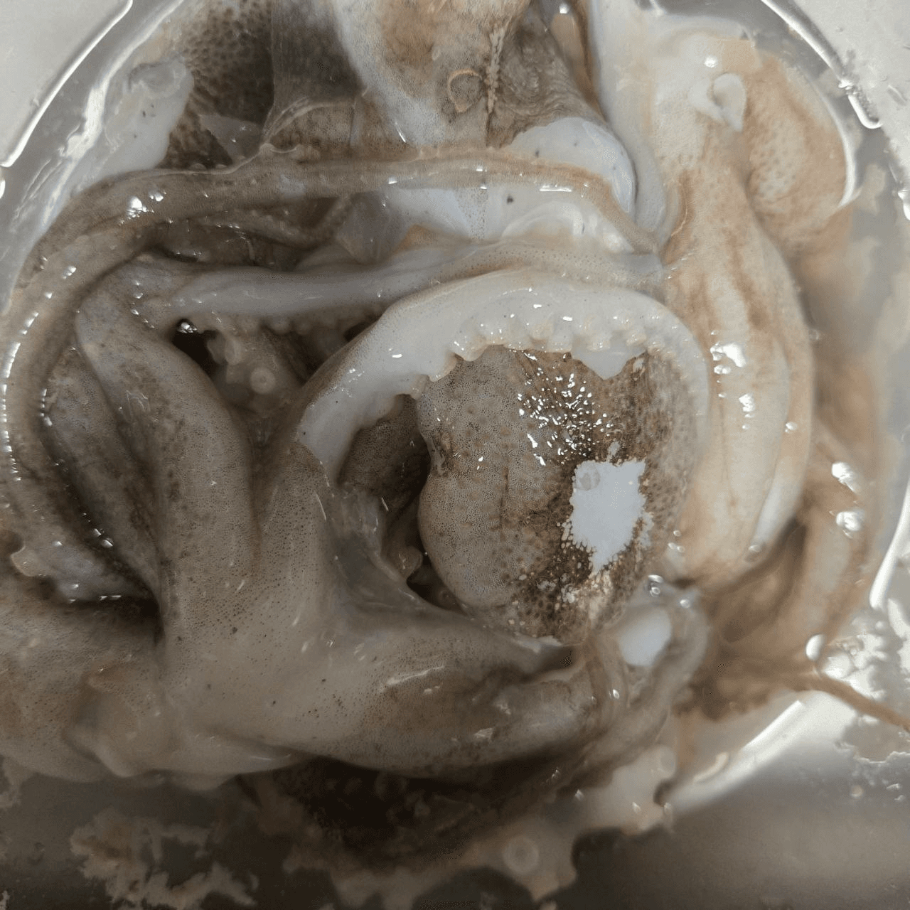 Ugh_HH/79870/6264871467157753497