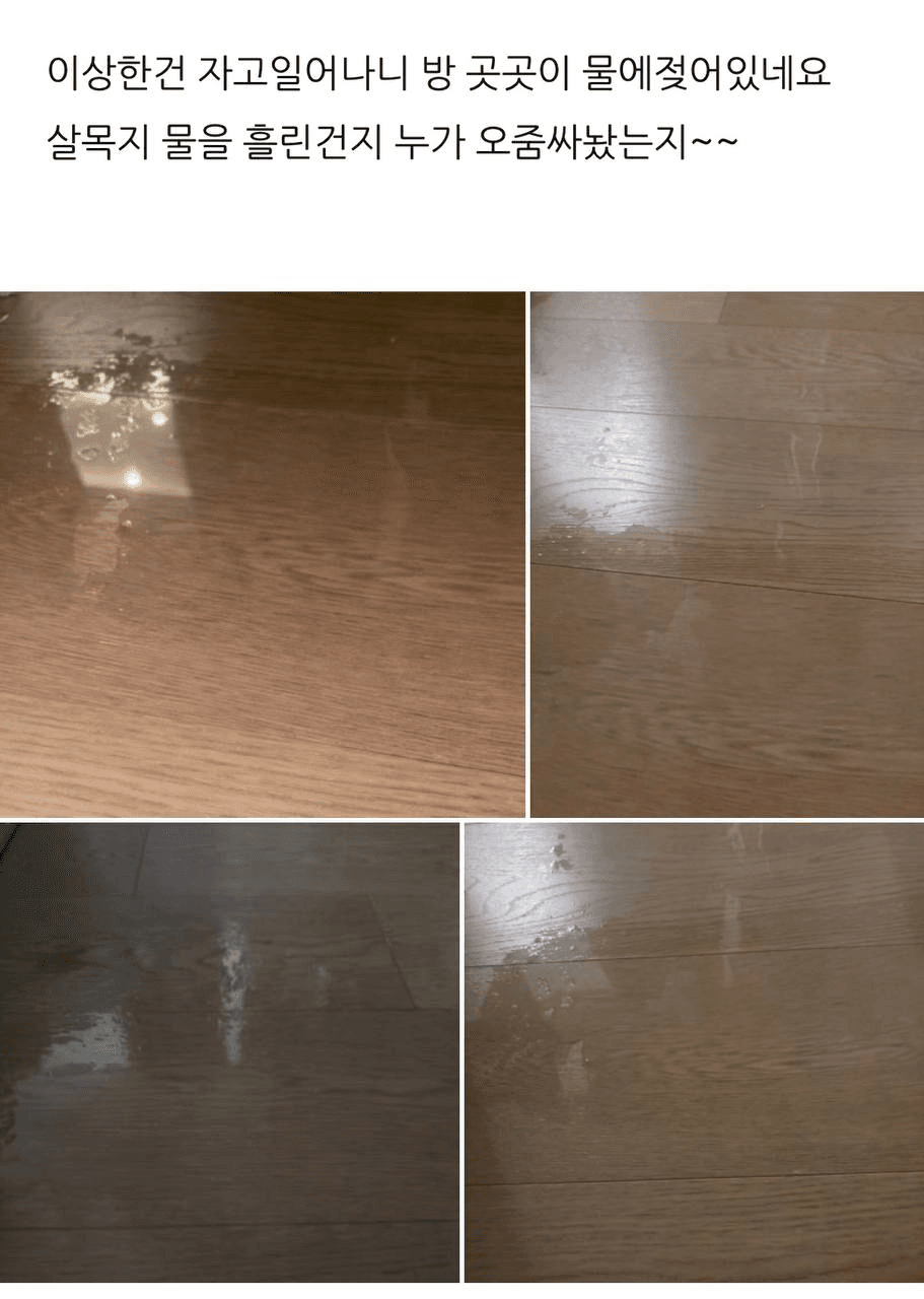 Ugh_HH/79902/6264871467157753682