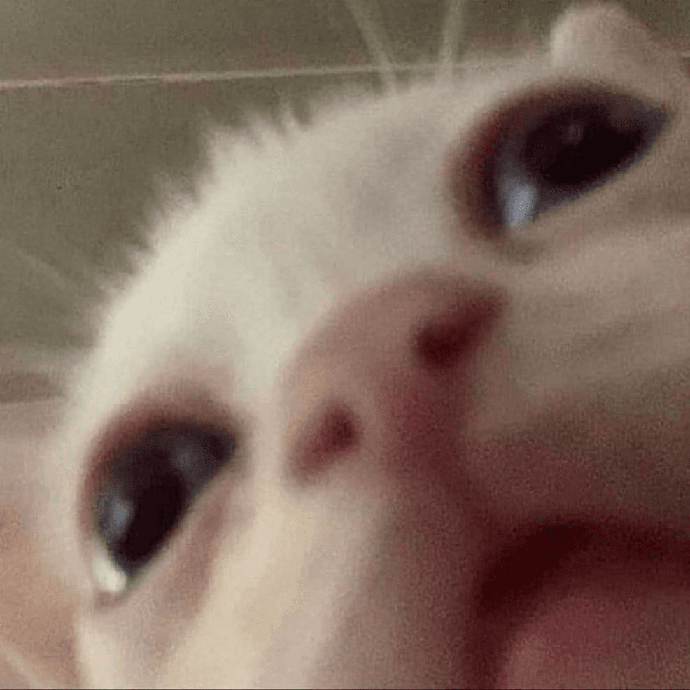 Ugh_HH/86485/6088977846123566238