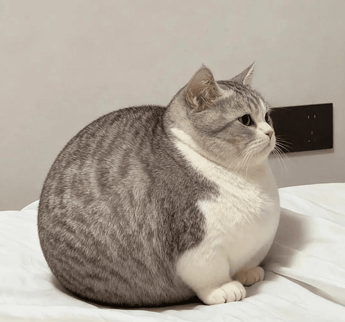 Ugh_HH/86900/6118221947729547890