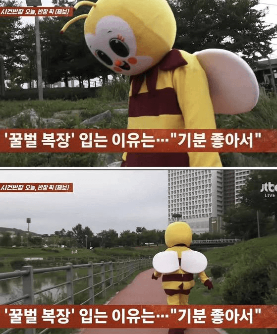길거리에 꿀벌옷 입고 돌아다니는 사람 봤어?
.
요즘 목격담 많다던데 고가도로에 서있어서
사람들이 위험할까 신고해가지고 잡혀있는 짤도 있음
.
왜 그렇게 입는거냐고 물어보니
"그냥 기분 좋아서 스트레스도 날아가고"
.
근데 어머니가 싫어해서 잠시 활동 멈췄다가
일 시작하고 자취해서 꿀벌활동 재개했다고 함
.
.
첨 보고 걍 웃겼는데 보다보니
꿀벌 복장이 자기만의 유일한 도피 공간이 
아니었을까 싶기도 하고..

꿀벌이 사연 좀 마음 아픔 학창시절에 따돌림당해서 대인기피증?? 생겼는데 꿀벌옷을 입은 상태에서는 그게 좀 극복된다고 느껴져서 저렇게 옷도 깨끗하게 관리해서 입고 사람들이 사진 찍어달라고 하면 다 찍어주는 거임

ㅠㅠ 만나면 잘해줍시다 괴롭히지말고 에혀 학창시절에 남 괴롭히는 새끼들 걍 사형시켜야 함 남은 평생 그 기억으로 사는데 지만 행복해...?