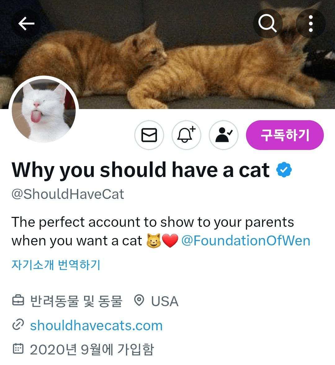 🪙 솔라나 고양이 밈코 WEN 초대형 고향이 계정 인수? 출처 저도 팔로우해놓고 보던 - 비트맨X - 텔레그램 : 비트코인 ETF |  코인 텔레그램 정보