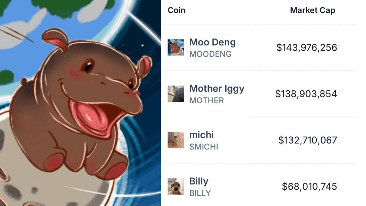 무뎅은 Pump.fun 출신중 가장 시총이 큰 밈코인으로 등극 출처 마더가 바이빗까진 - 비트맨X - 텔레그램 : 비트코인 ETF |  코인 텔레그램 정보