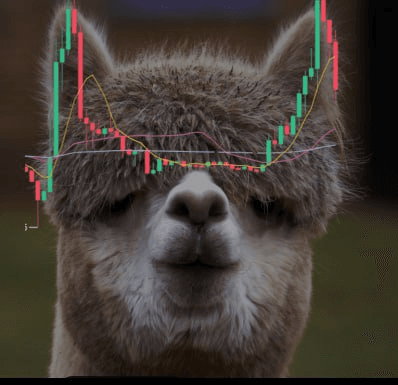 WeCryptoTogether/52227/6075421589303839266