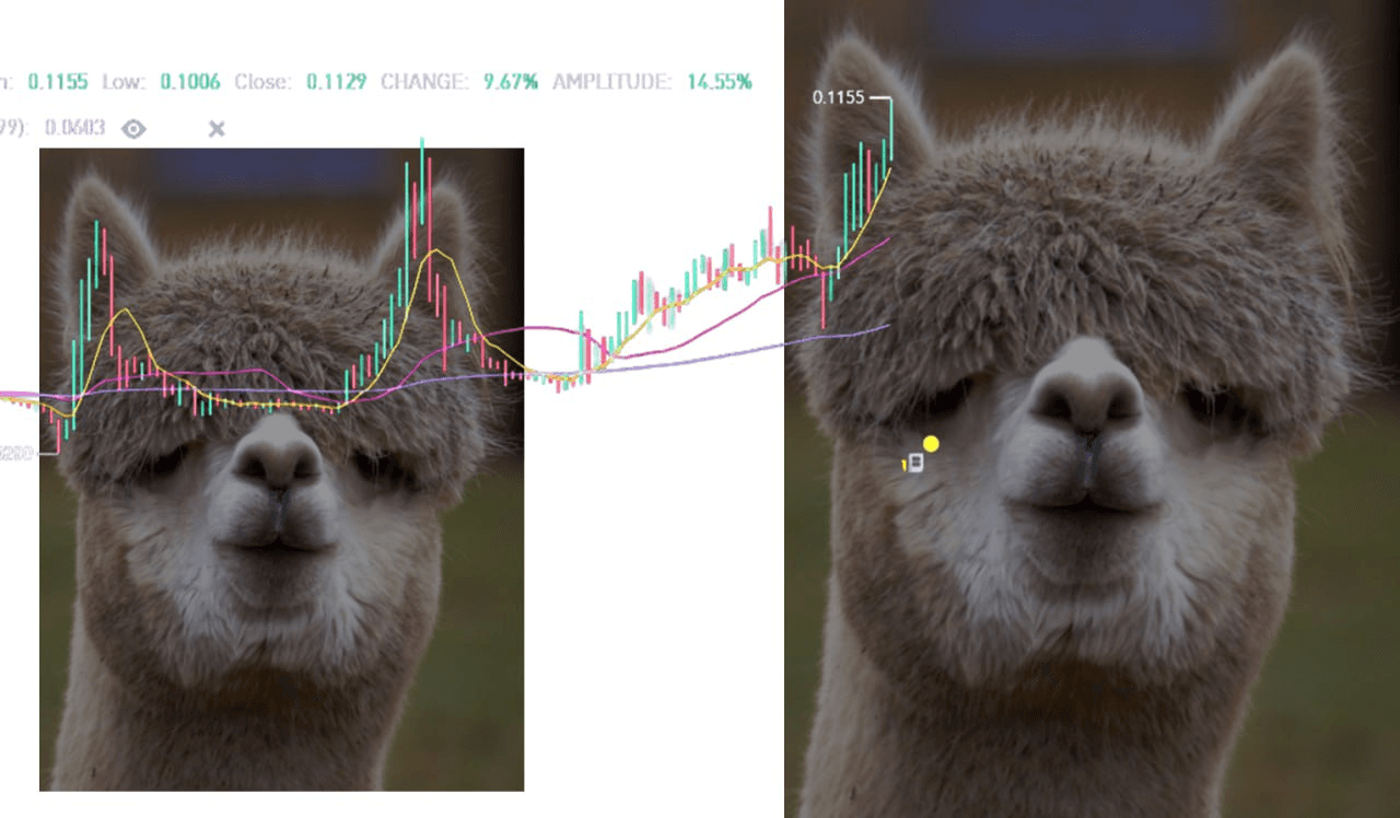 WeCryptoTogether/52251/6077918923807901079